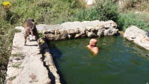 מעיינות הרי ירושלים