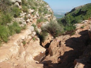 ערוץ נחל יצפור