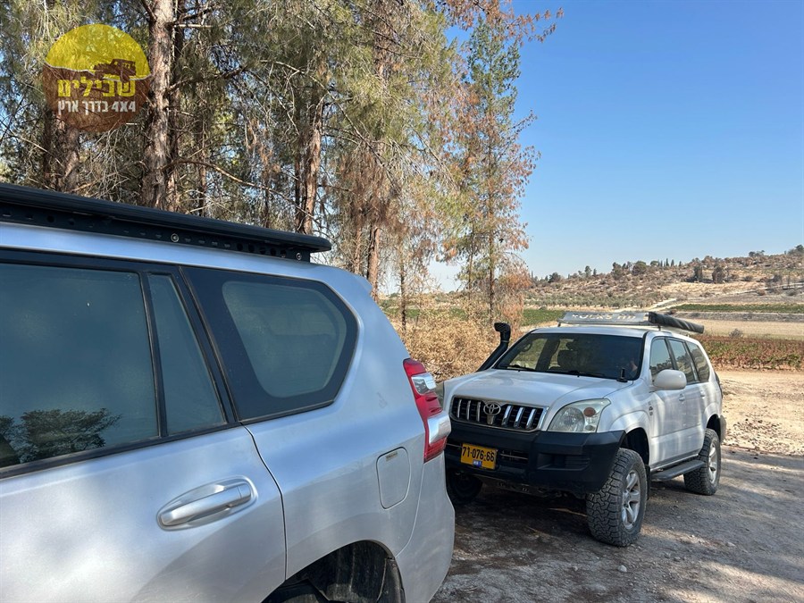 איילון איילון