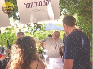 יקב מול התל