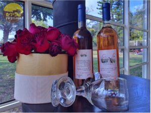 יקב מול התל