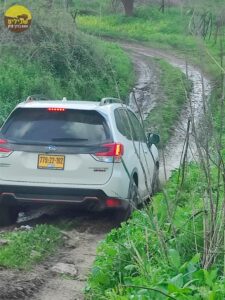 פריחות רמות מנשה121