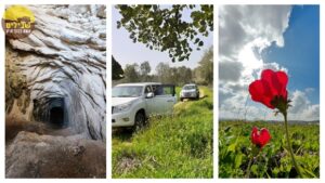 פריחות רמות מנשה127