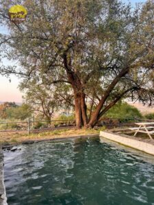 ארבל יבניאל arbel yavniel8