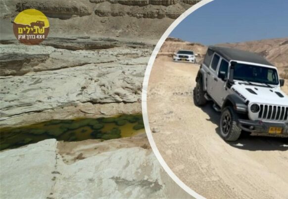 אביב מדברי – המכתש ירוחם מתעורר לחיים