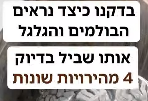 בולמים