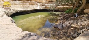 מכתש ירוחם גב שרף