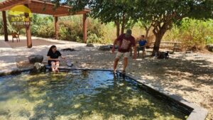 מעיין החמישה