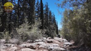 אתגרי בן שמן, צילום: אורן רוזן