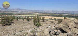 נוף רמת הגולן