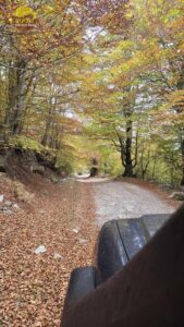 אלבניה בסתיו