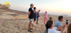 ראלי חוצה ישראל קיץ 2025. צילום: רותי חקלאי