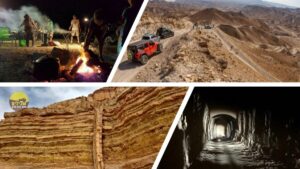 קולאז נחש צמא מכתש רמון