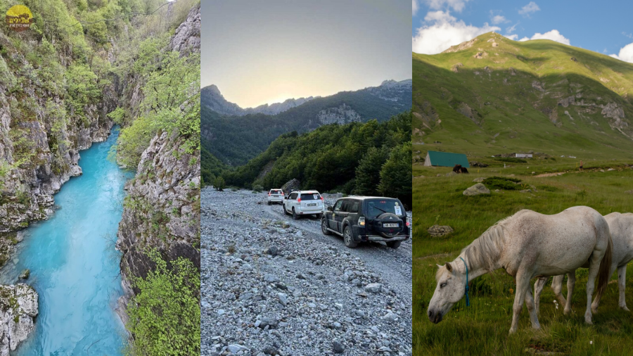 ALBANIA COVER תמונה ראשית