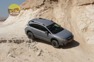 חימר סדום XV