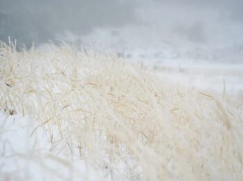 אלבניה חורף שלג