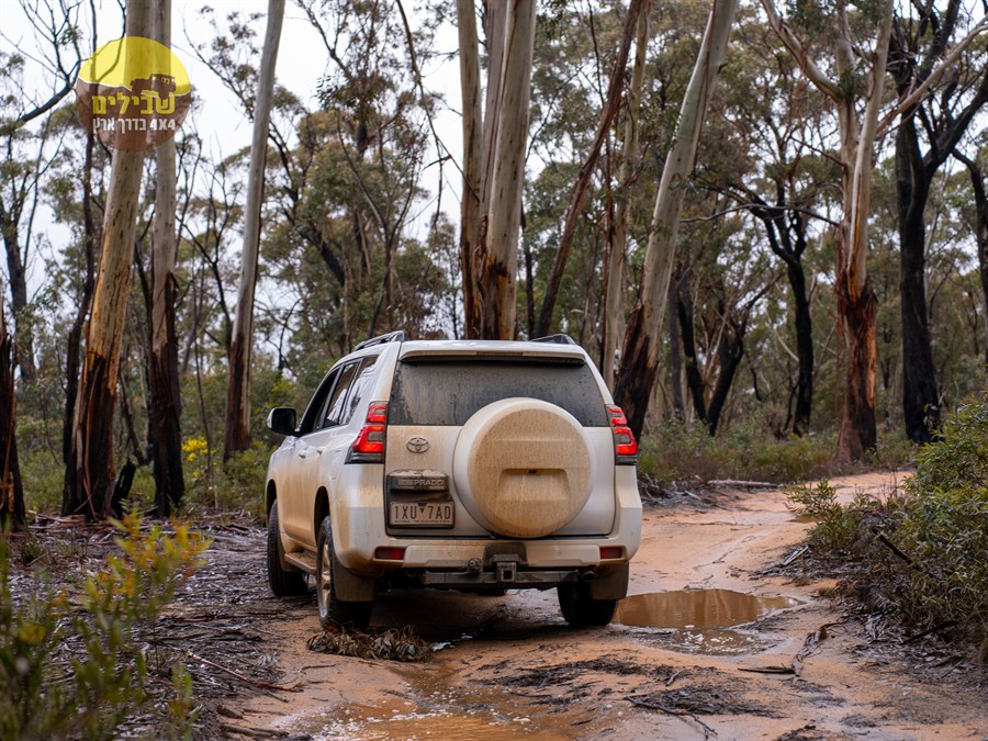 אוסטרליה יאיר קווה אוסטרליה יאיר קווה