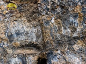 אוסטרליה יאיר קווה