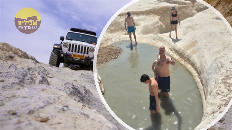 גבי פרס חצרה