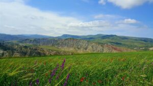 אזרבייג'ן אביב