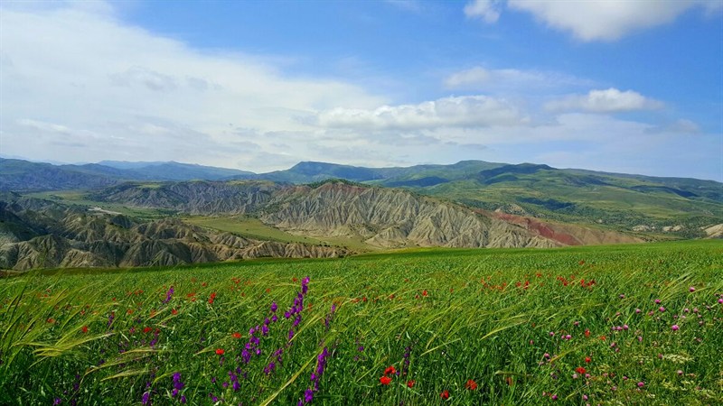 אזרבייג'ן אביב