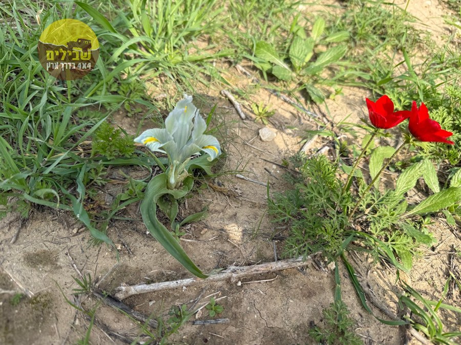 עוטף עזה עוטף עזה