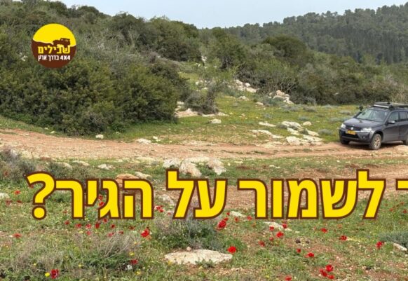 Low: למה לא להתעצל?