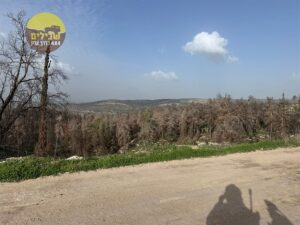 טיול אופנועים