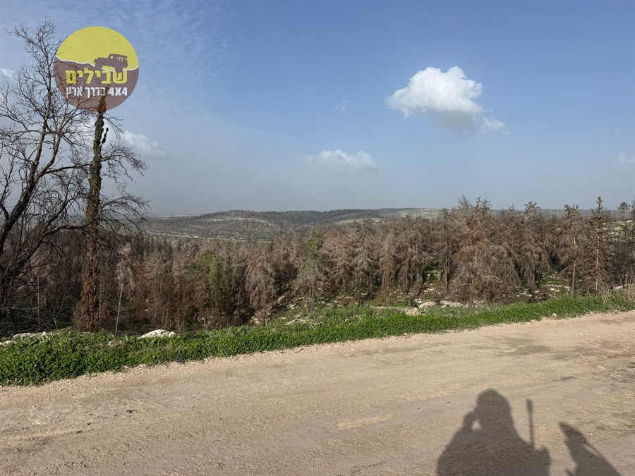 טיול אופנועים