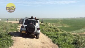 דרום אדום פריחה כלניות