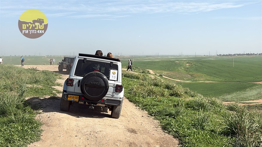 דרום אדום פריחה כלניות דרום אדום פריחה כלניות