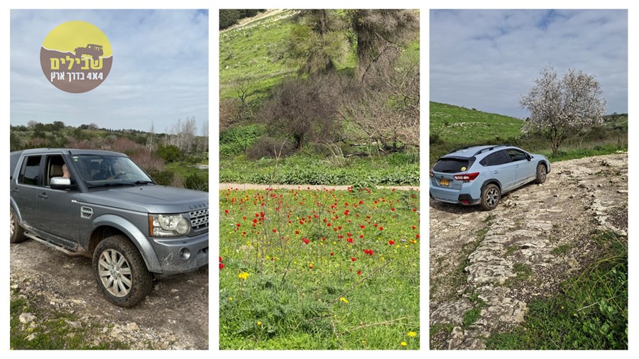 רמות מנשה חורשן חורף