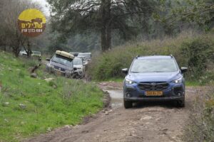 רמות מנשה חורשן חורף