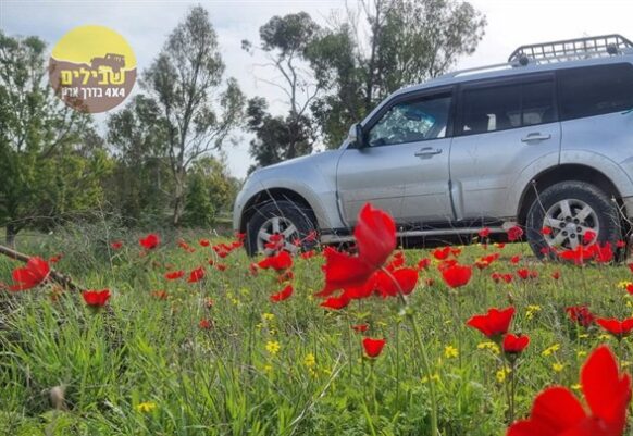 דרום אדום מהחץ השחור לנחל הבשור