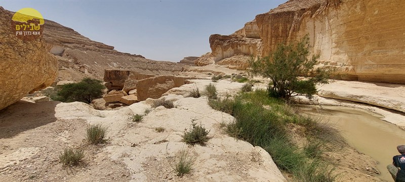 בקעת צין זרחן עין אום סלאח