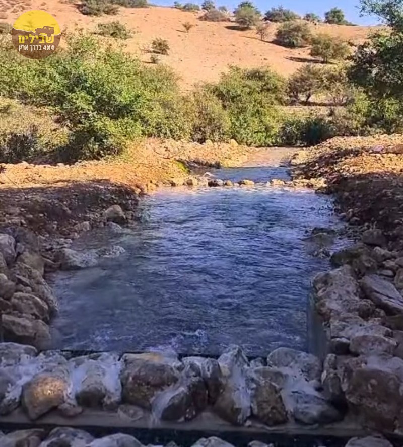 ARBEL YODFAT1 ARBEL YODFAT1