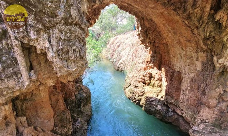 ARBEL YODFAT7 ARBEL YODFAT7