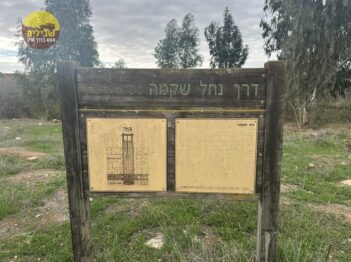 פורה רוחמה גברעם